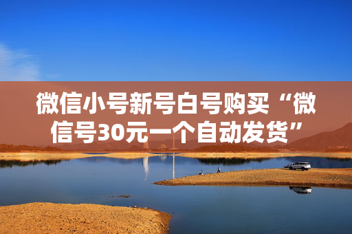 微信小号新号白号购买“微信号30元一个自动发货”